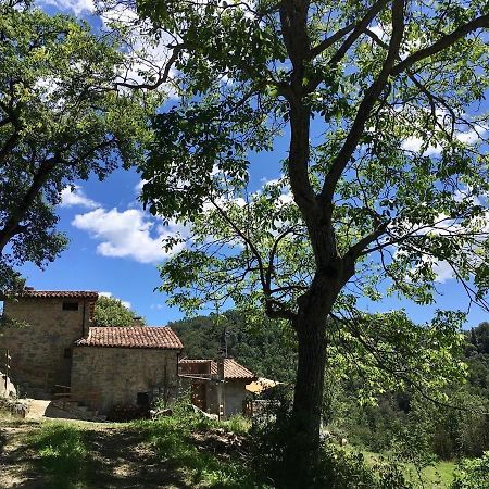 Can Poca Roba San Pedro de Torelló Εξωτερικό φωτογραφία